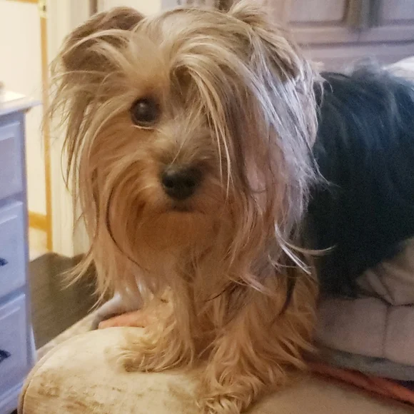 THIS BUS IS SOO FULL!⭐PLEASE LOAD THE NEXT 1 🌜SO FUN🌛 - Picture 6 of 10